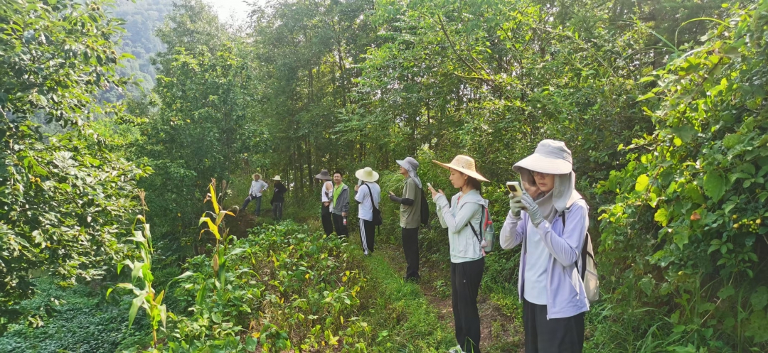 20260309621723.jpg 公路事业部鲍梦捷、彭格菲-辰凤项目项目外业调查.jpg