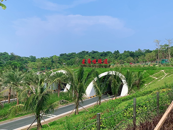 珠海情侣路菱角咀隧道.png